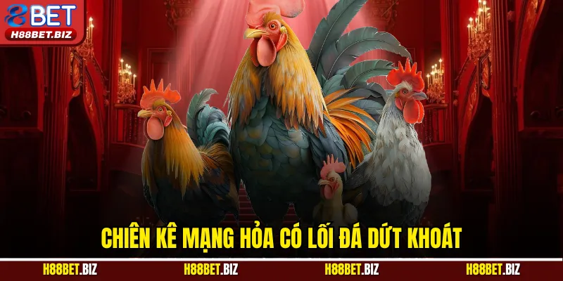 Chiên kê mạng Hỏa có lối đá dứt khoát
