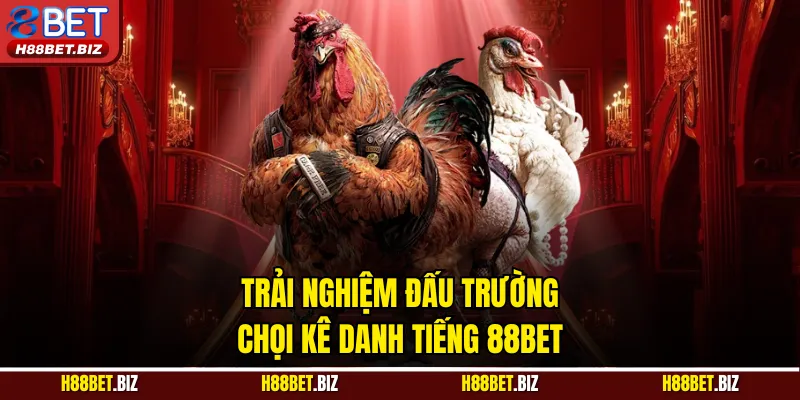 Trải nghiệm đấu trường chọi kê danh tiếng 88BET
